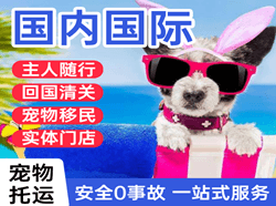 宜春明月山航空托运国际宠物托运 【国